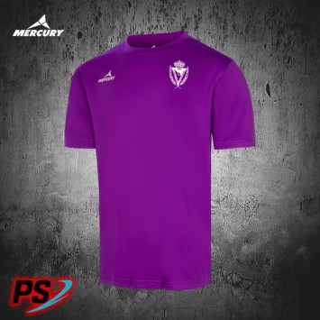 CAMISETA E.V. Y 2ª EQUIPACIÓN PORTERO AT. ESCALERILLAS
