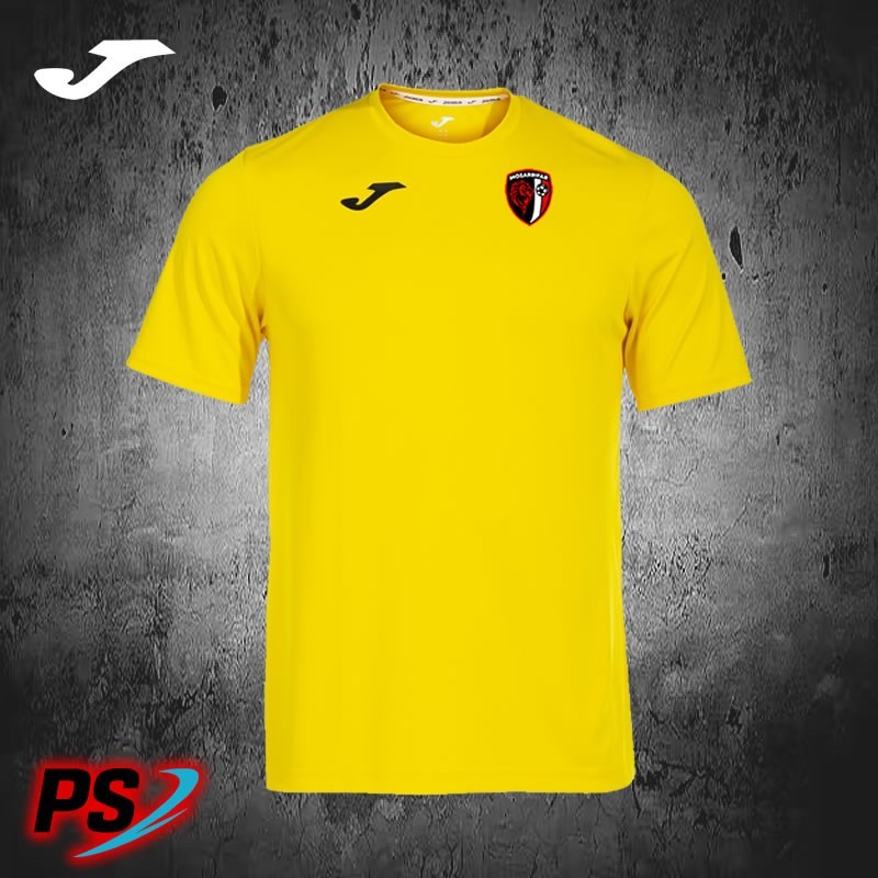 CAMISETA DE ENTRENO Y 2ª JUGADOR AT. MOZARRIFAR