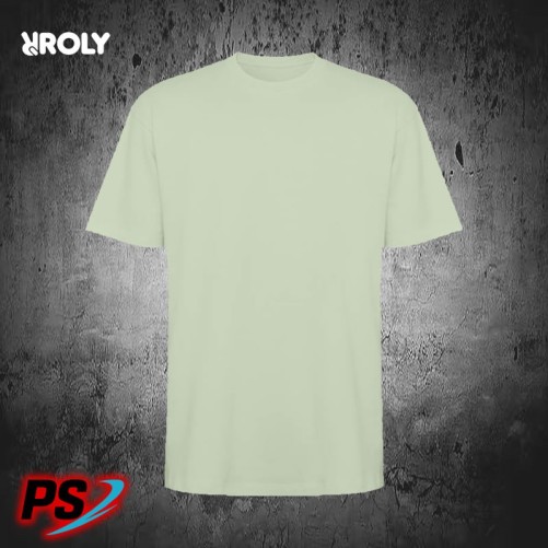 CAMISETA UNISEX OVERSIZE ROLY BULL VERDE MIST