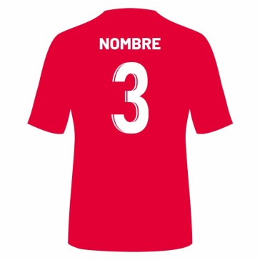 CAMISETA ENTRENO Y 2ª DE JUEGO JUGADOR R.S.D. SANTA ISABEL
