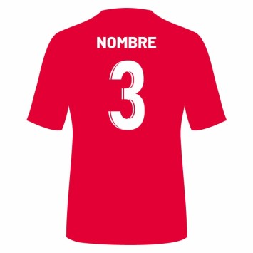 CAMISETA ENTRENO Y 2ª DE JUEGO JUGADOR R.S.D. SANTA ISABEL